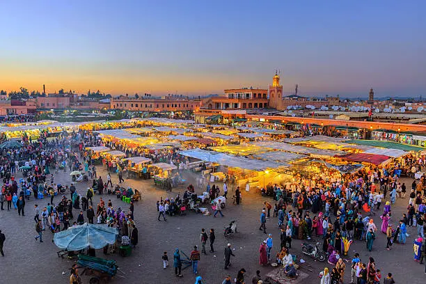 Marrakech Beyond the Medina: Exploring the Surrounding Wonders